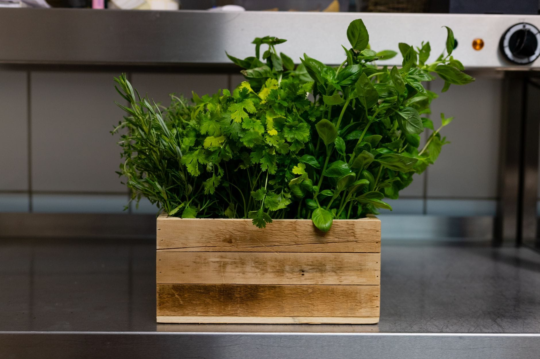 A wooden box of fresh culinary herbs
