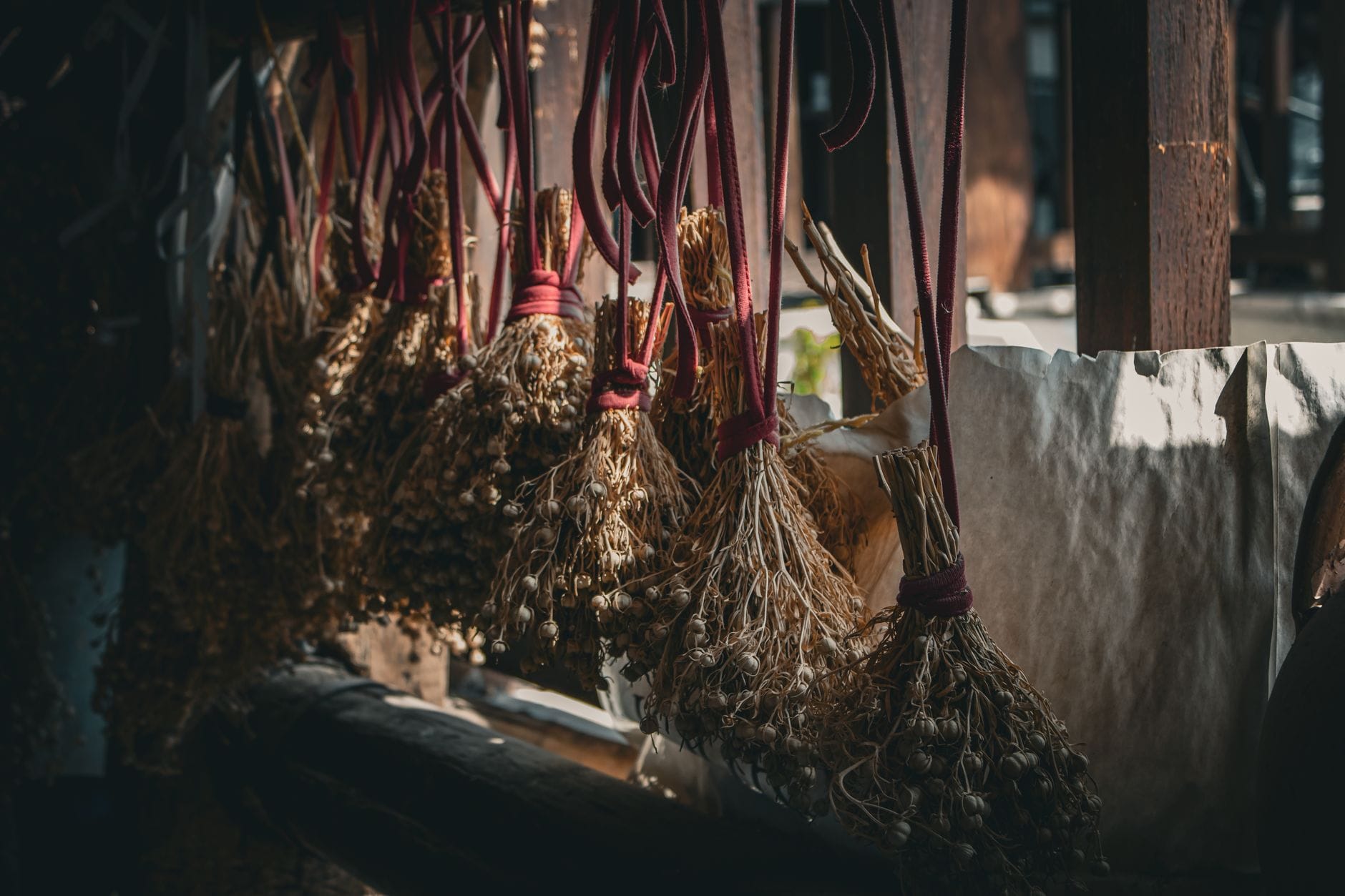 Bunches of herbs hanging up to dry