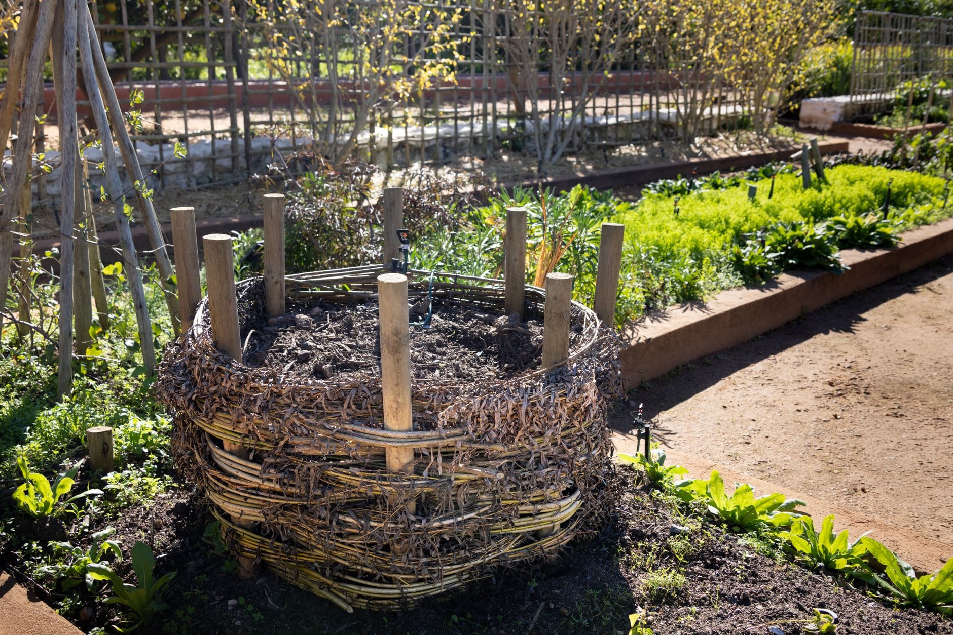 A compost bin in a garden