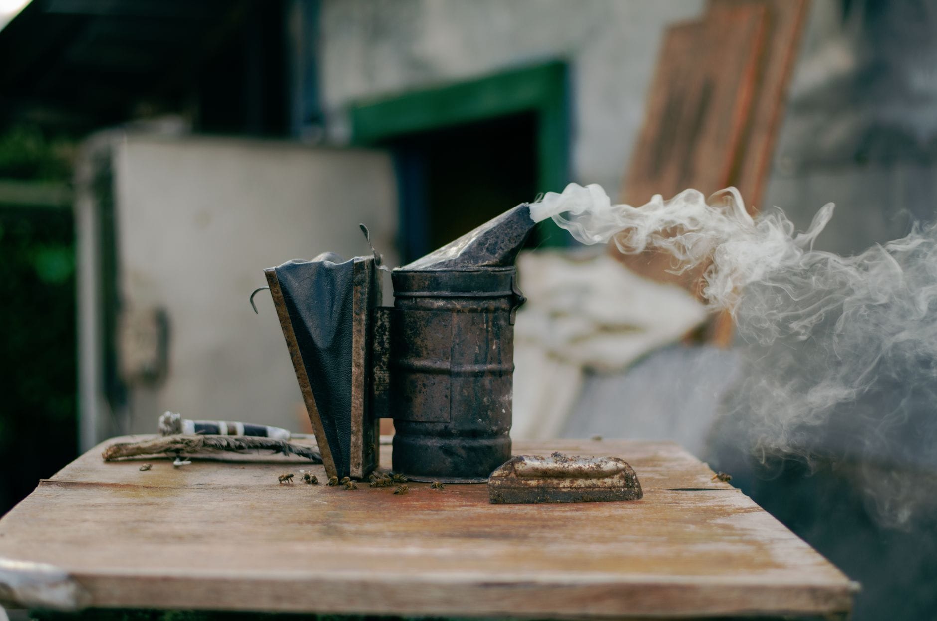 A bee smoker and hive tools