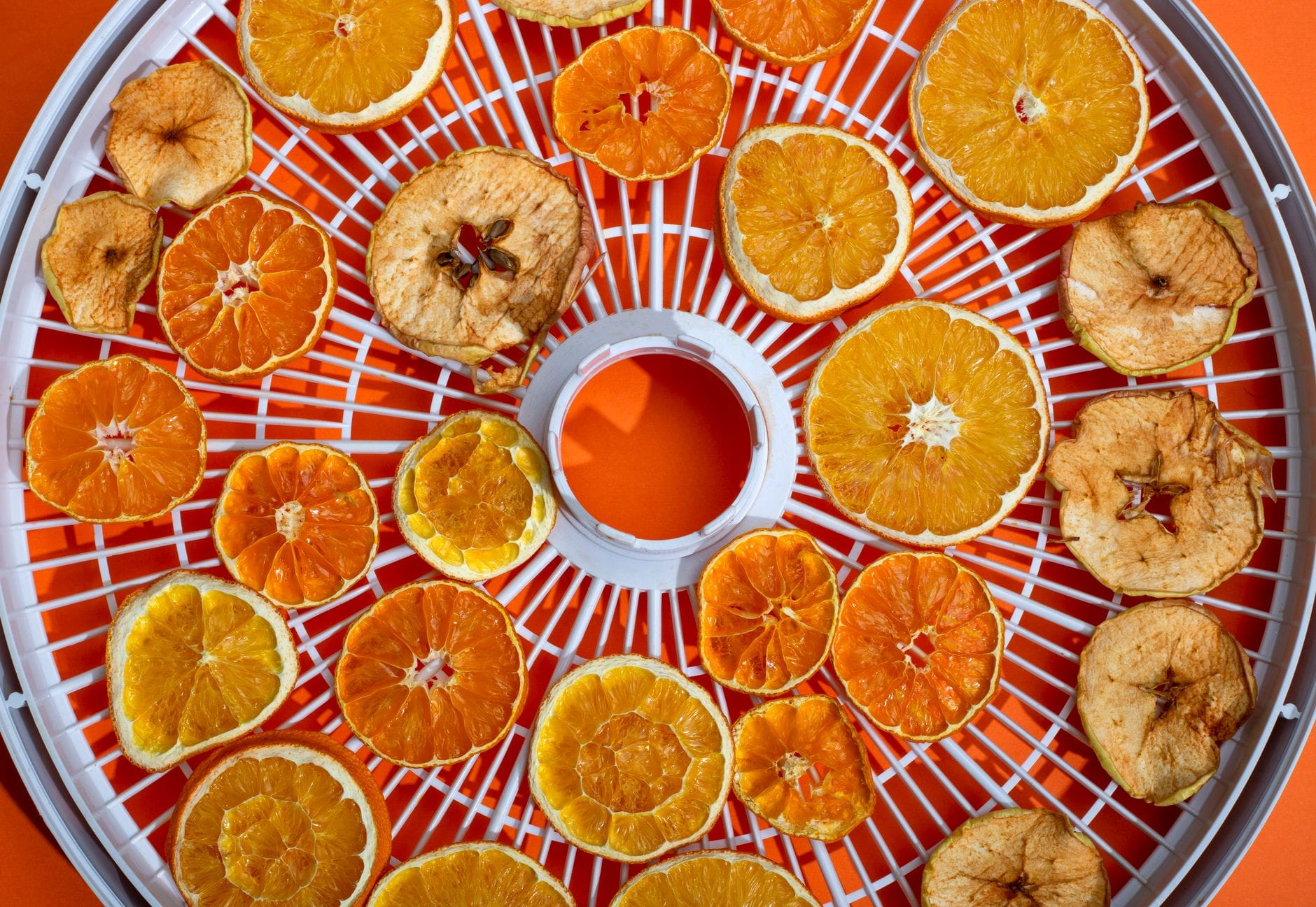 Fruit slices in a dehydrator