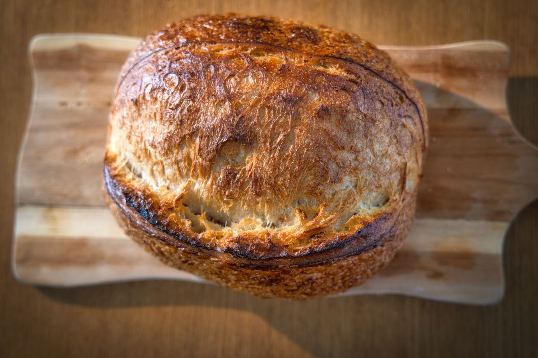 A whole homemade sourdough loaf