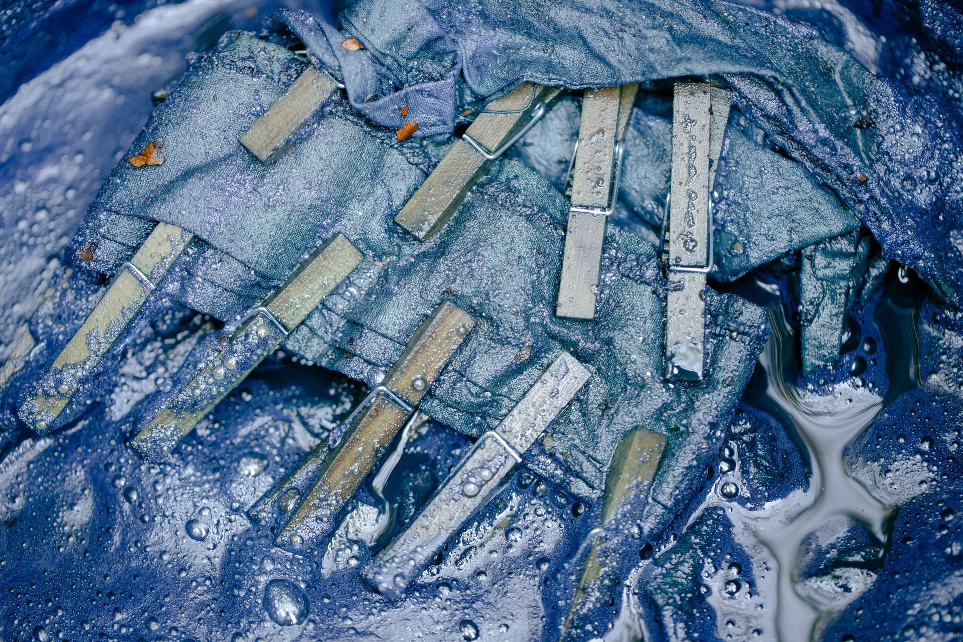 Wet clothes pegs clipped to blue fabric on a line