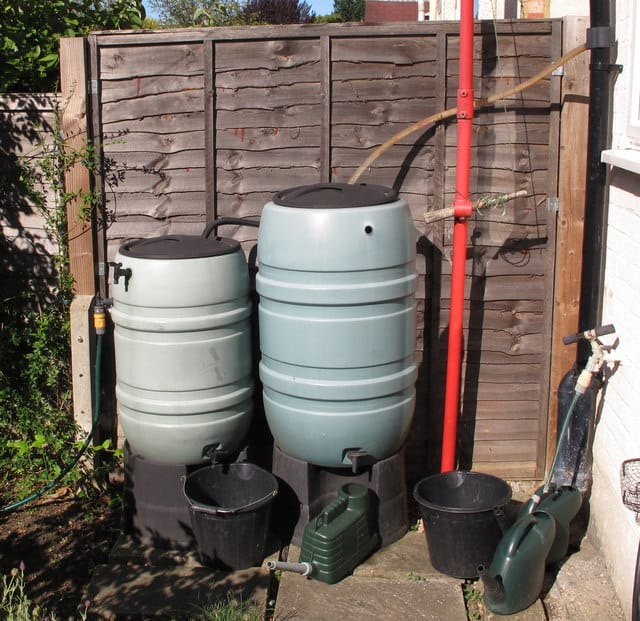 Two water butts collecting rainwater from a downpipe