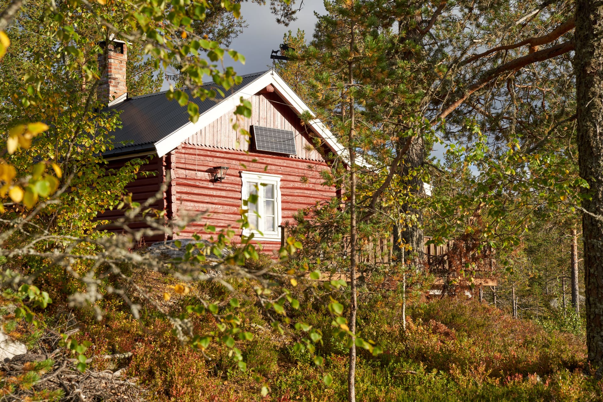 A timber self-build cabin with roof solar panels