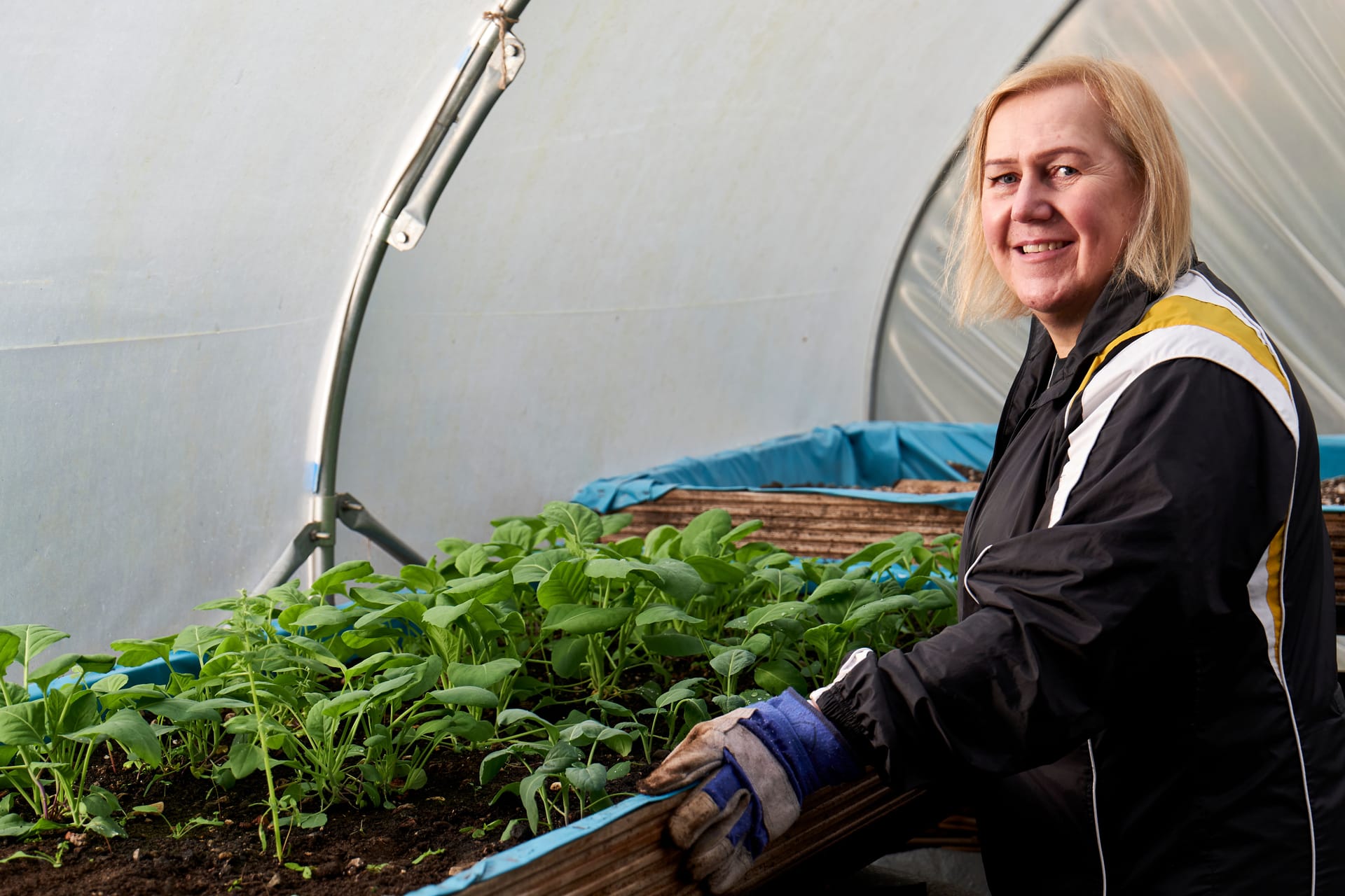 Tending plants inside a greenhouse