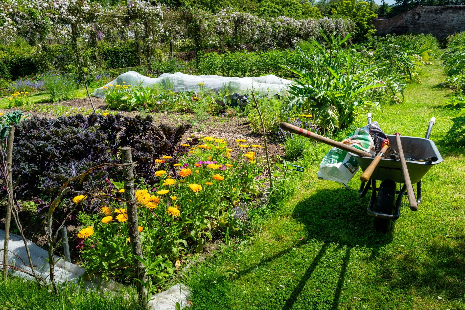 A kitchen garden with flowers interplanted among the vegetables